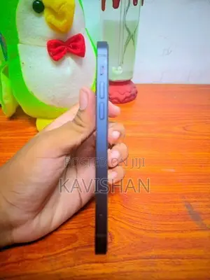 Apple iPhone 12 (Used)