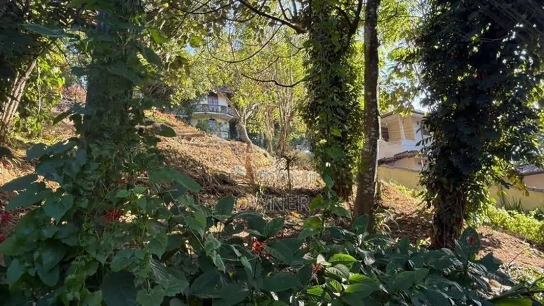 12.5 Perches Valuable Land for Sale Near Dodanwela Bridge,kandy