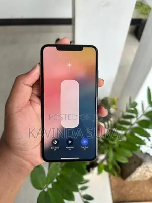 Apple iPhone XS Max 256GB (Used)