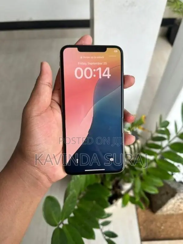Apple iPhone XS Max 256GB (Used)