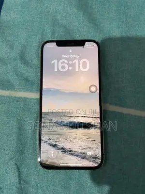 Apple iPhone 12 Pro (Used)