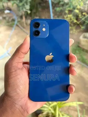 Apple iPhone 12 (Used)