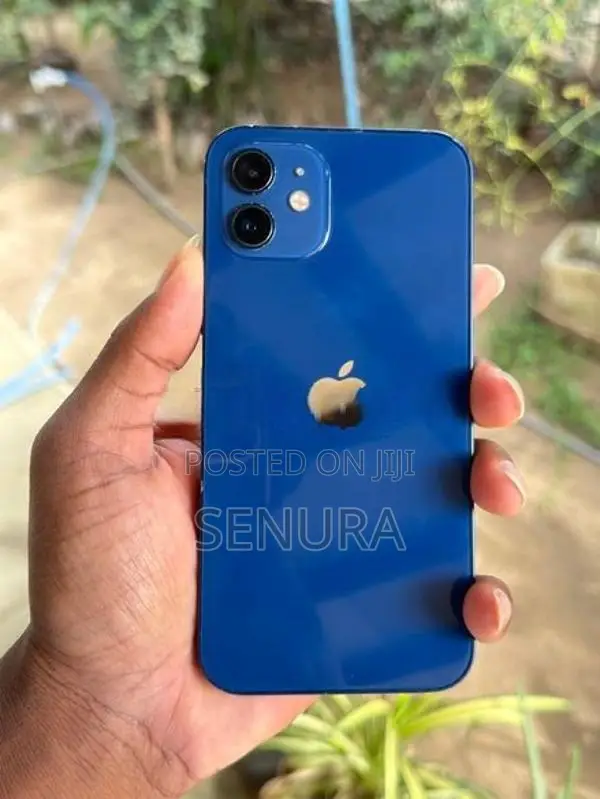 Apple iPhone 12 (Used)