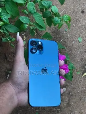 Apple iPhone 12 Pro Max (Used)