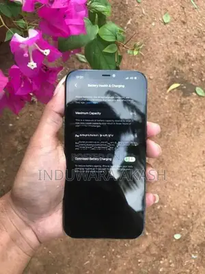 Apple iPhone 12 Pro Max (Used)