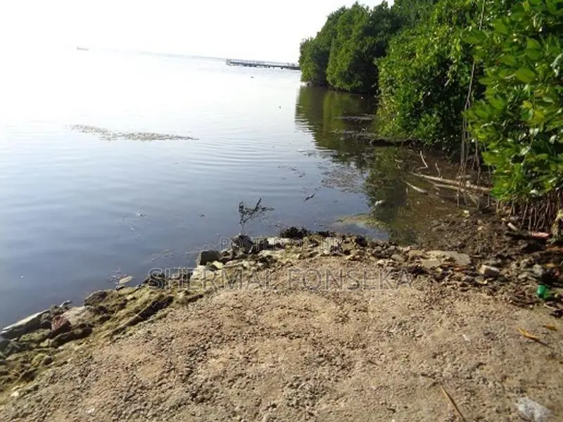 Negombo Kurana lagoon facing land with wide road for sale