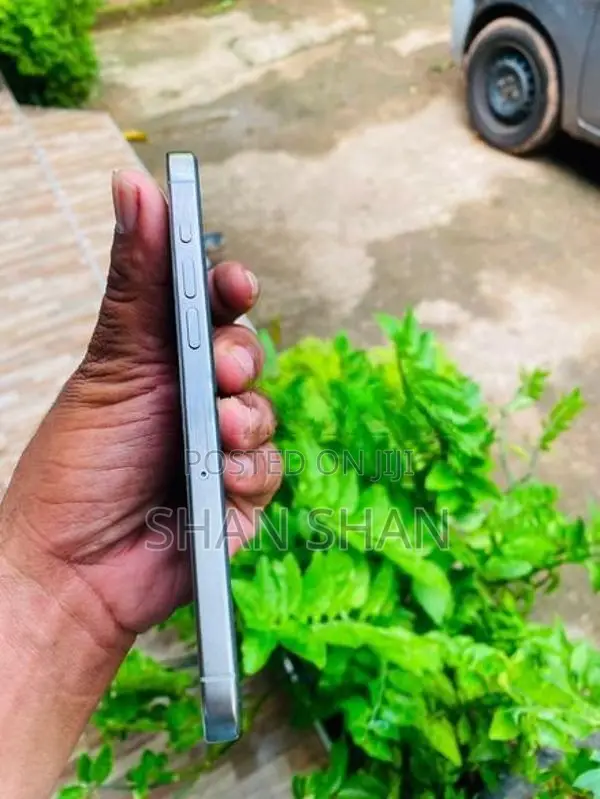 Apple iPhone 15 Pro Max (Used)