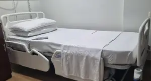 Four Function Electric Hospital Beds