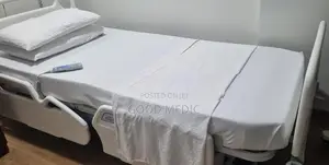 Four Function Electric Hospital Beds