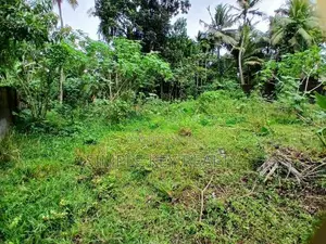 Land for Sale in Kadawatha Kirillawala