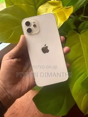 Apple iPhone 12 (Used)
