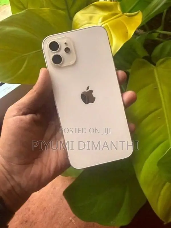 Apple iPhone 12 (Used)