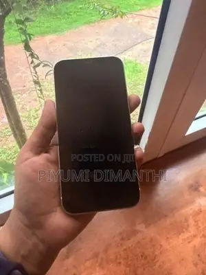 Apple iPhone 12 (Used)