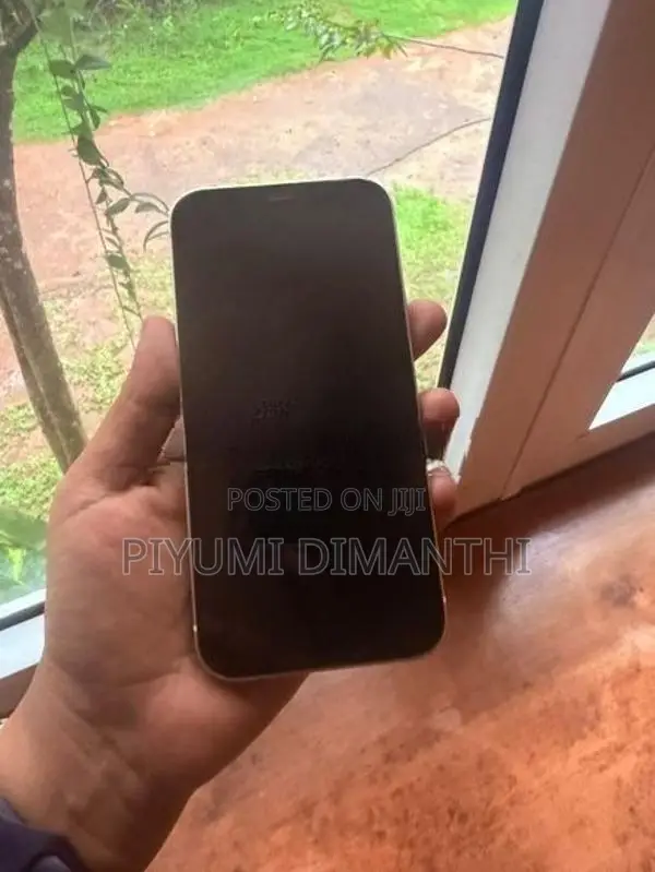 Apple iPhone 12 (Used)