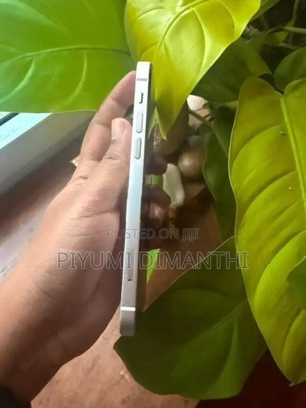 Apple iPhone 12 (Used)