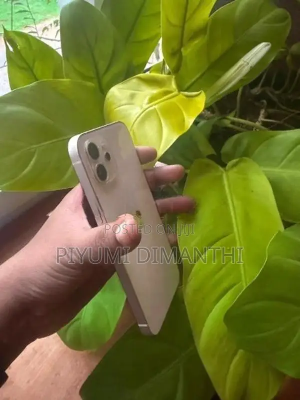 Apple iPhone 12 (Used)