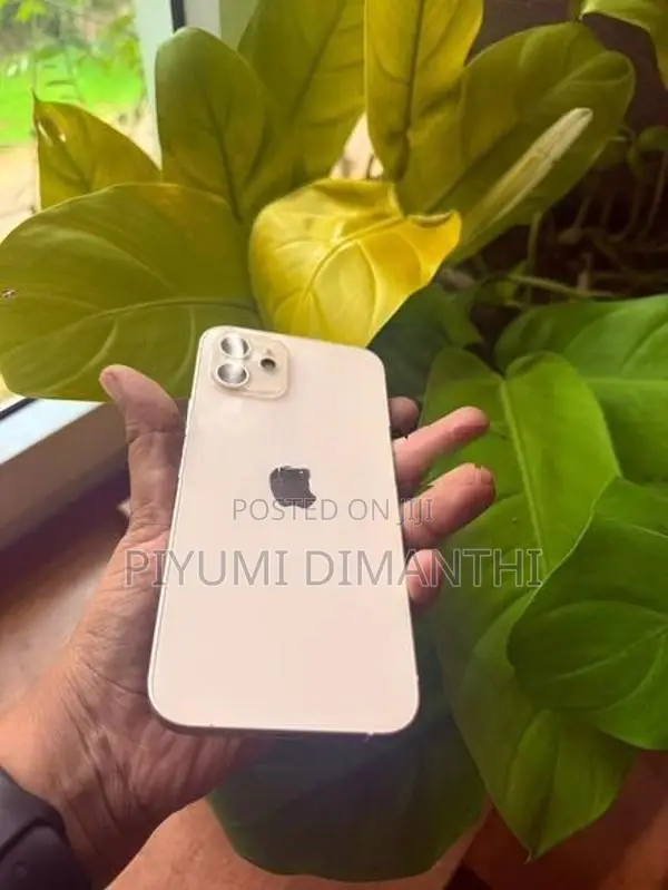 Apple iPhone 12 (Used)