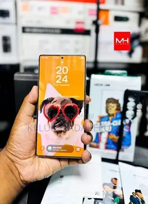 Samsung Galaxy S25 Ultra (Used)