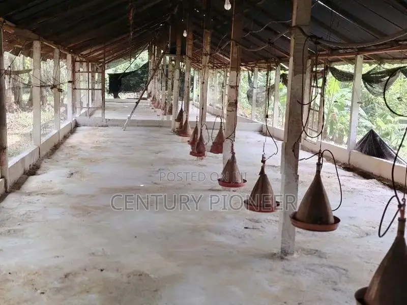 Poultry Farm for Sale in Wariyapola