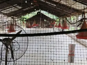 Poultry Farm for Sale in Wariyapola