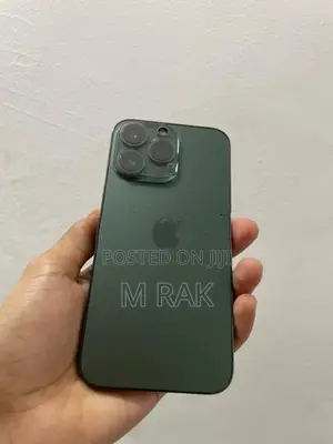 Apple iPhone 13 Pro (Used)