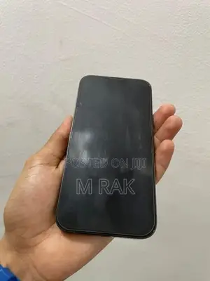 Apple iPhone 13 Pro (Used)
