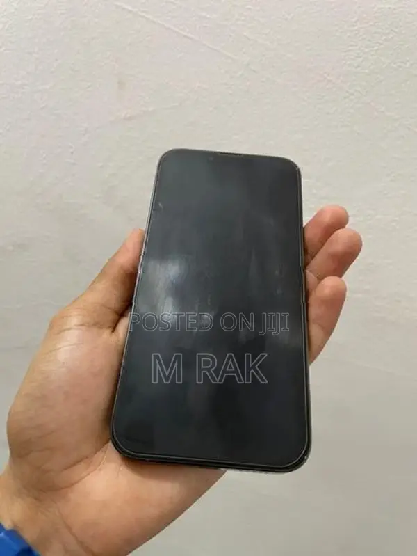 Apple iPhone 13 Pro (Used)
