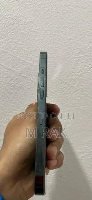 Apple iPhone 13 Pro (Used)