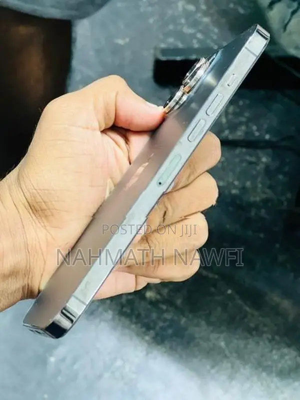 Apple iPhone 13 Pro Max (Used)
