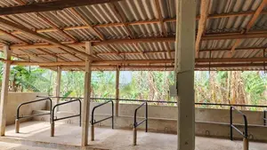 Dairy Farm with Coconut Land for Sale in Embilipitiya