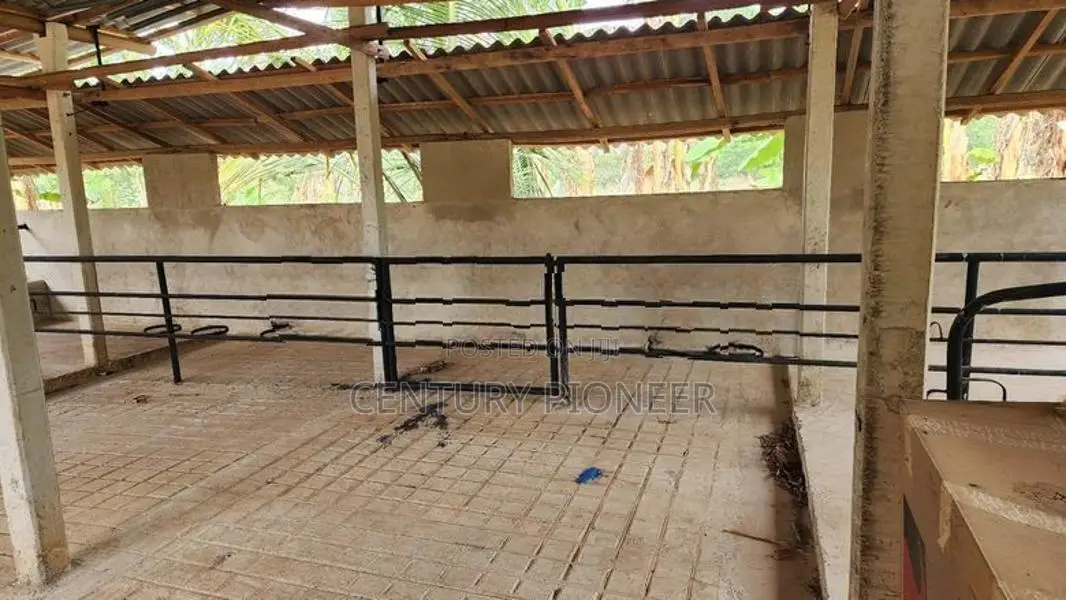 Dairy Farm with Coconut Land for Sale in Embilipitiya