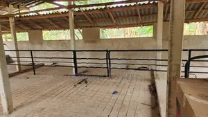 Dairy Farm with Coconut Land for Sale in Embilipitiya