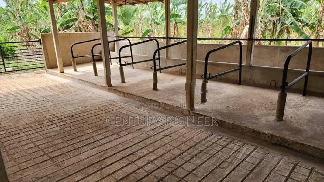 Dairy Farm with Coconut Land for Sale in Embilipitiya