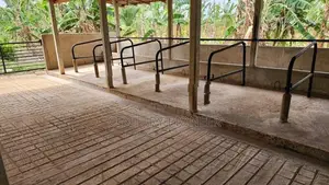Dairy Farm with Coconut Land for Sale in Embilipitiya