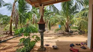 Dairy Farm with Coconut Land for Sale in Embilipitiya