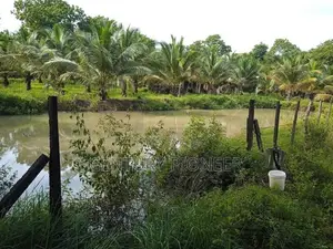 Farm House with Sand Yard for Sale in Batticaloa