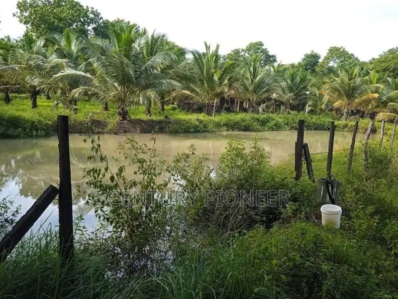 Farm House with Sand Yard for Sale in Batticaloa
