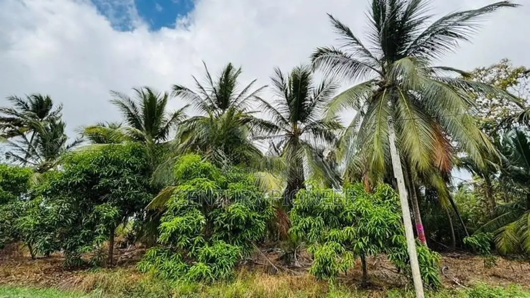 Coconut Land for Sale in Mundalama