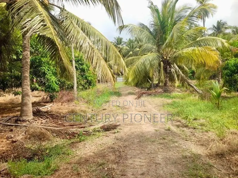 Coconut Land for Sale in Mundalama