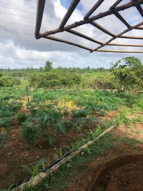 Land for Sale in Bandaragama