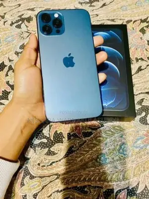 Apple iPhone 12 Pro Max (Used)