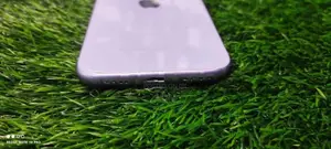 Apple iPhone 11 (Used)