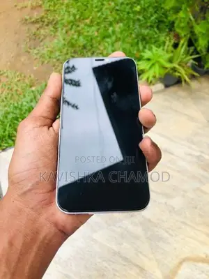Apple iPhone 12 Pro (Used)