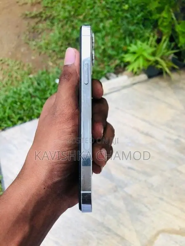 Apple iPhone 12 Pro (Used)