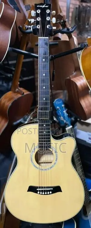 Japan Used Guitar