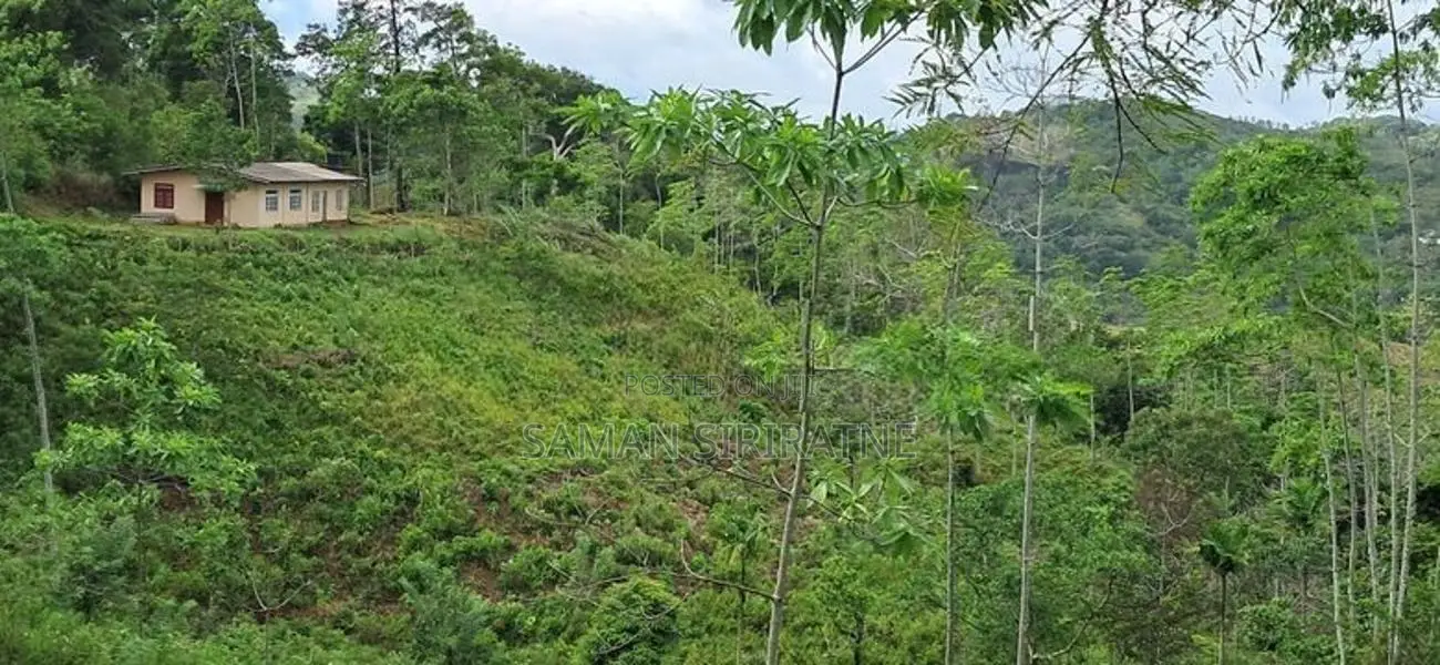 Land for Sale in Balangoda