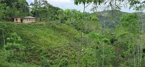 Land for Sale in Balangoda