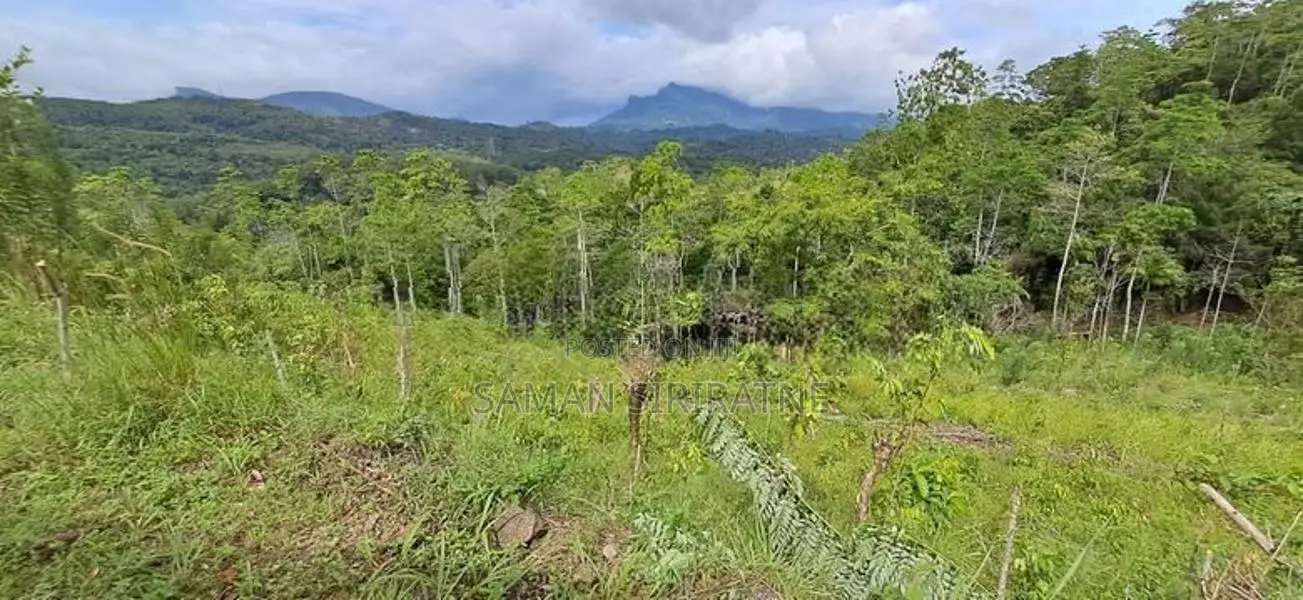 Land for Sale in Balangoda