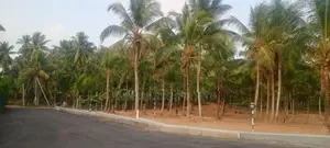 කඩවත බිම්කොටස්