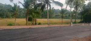 කඩවත බිම්කොටස්